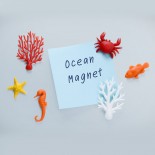 Μαγνητάκια Ocean Ecology Σετ των 6 Qualy