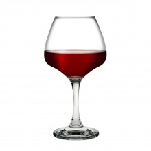 Risus Wine Glasses 580 ml (Set of 6) - Espiel